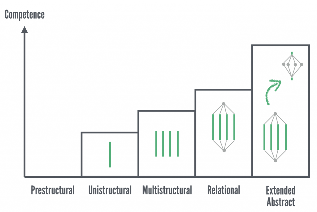 Model describing the SOLO taxonomy